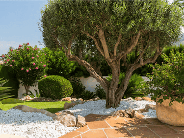 Jardín en Marbella con césped natural