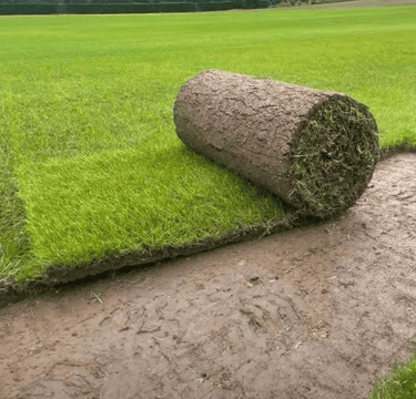 Instalación de riego en jardín de Estepona